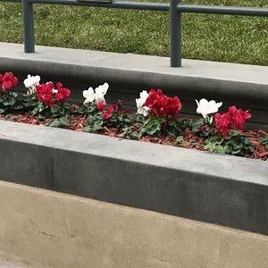 Meet your Posher, Ruby